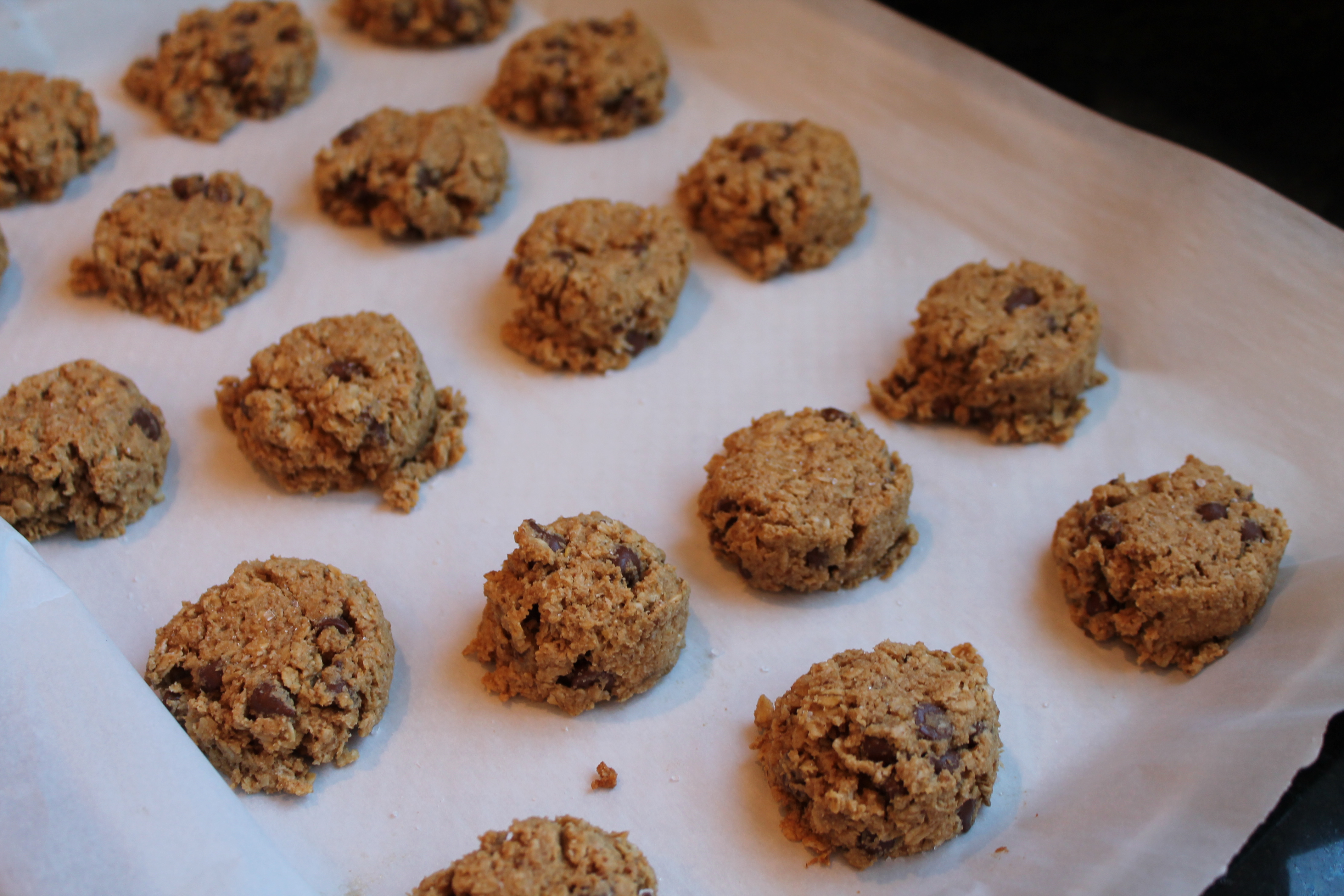 healthy salted chocolate chip oatmeal cookies - healing whole nutrition