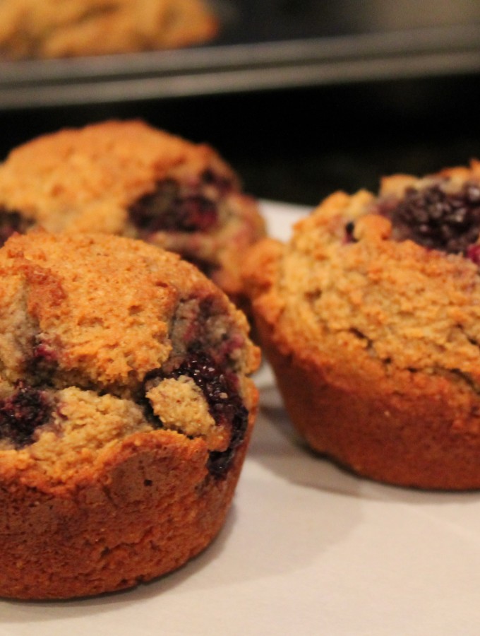 mixed berry muffins