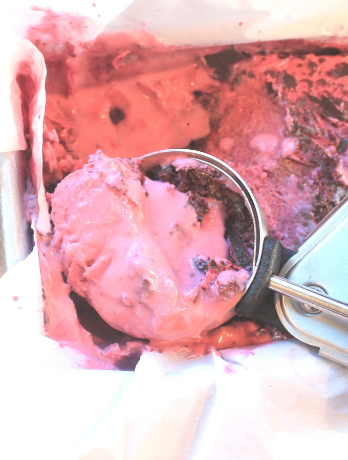 paleo blackberry chip ice cream