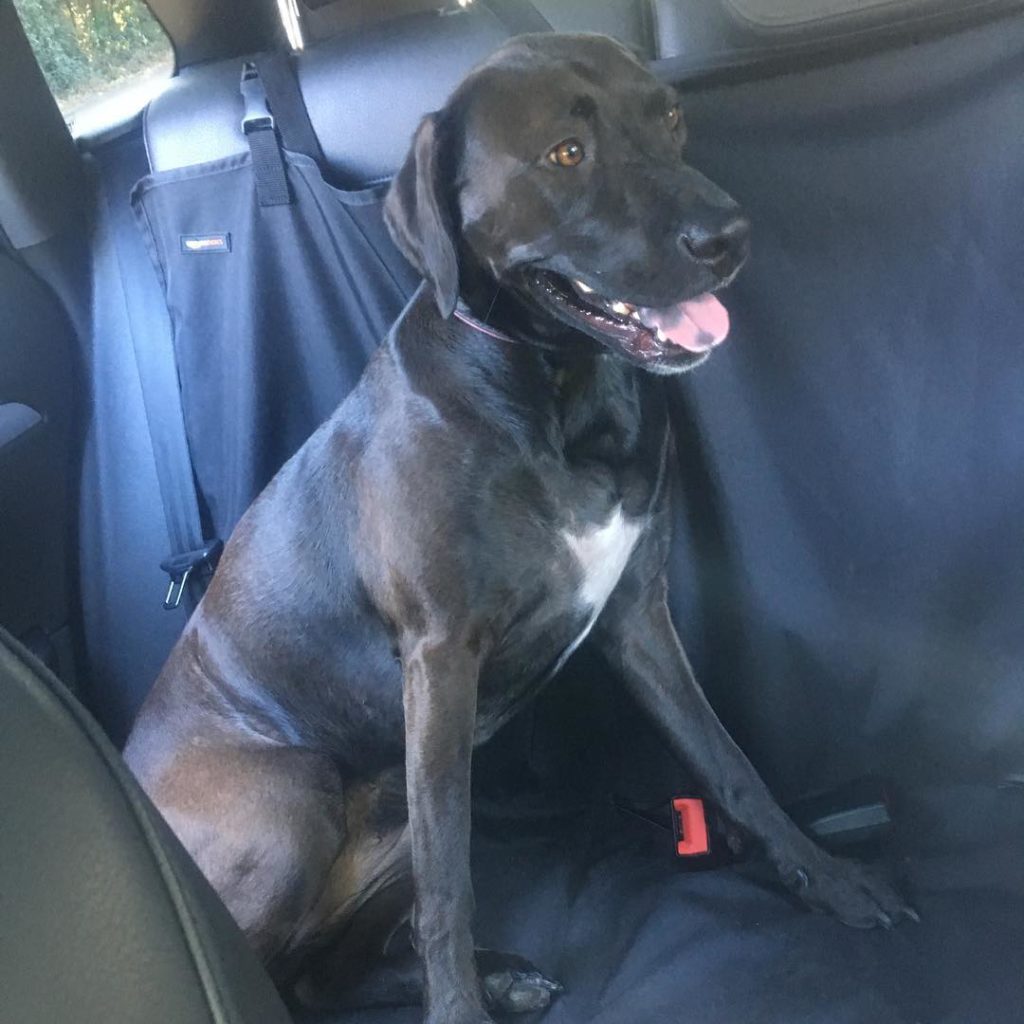 postwalk smiles junebug