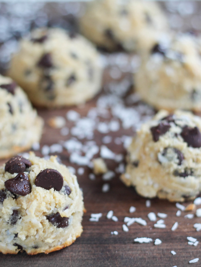 paleo coconut chocolate chip macaroons