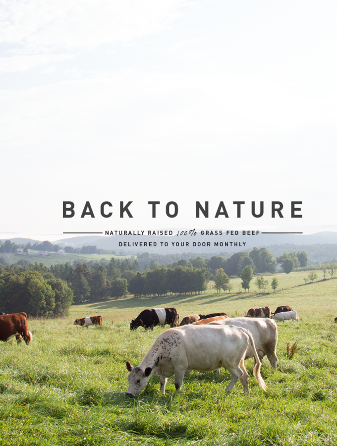 introducing you to butcherbox!